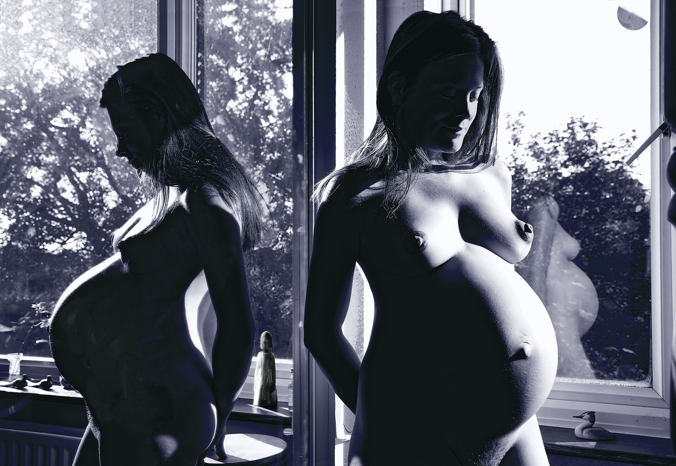 Pregnant Reflections, 2006, 36” x 52”